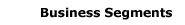 Business Segments