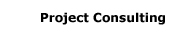 Project Consulting