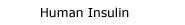 Human Insulin